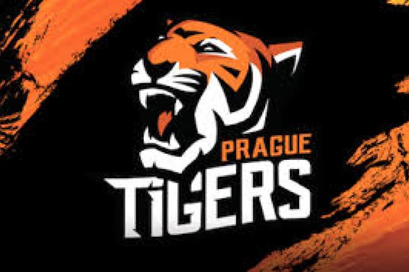 PRAGUE TIGERS - příprava